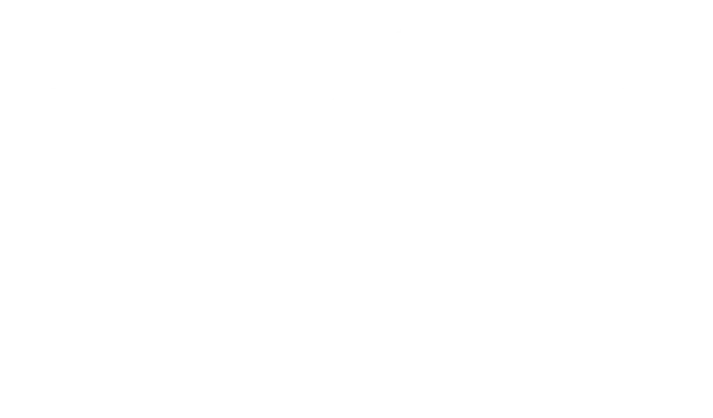 We356